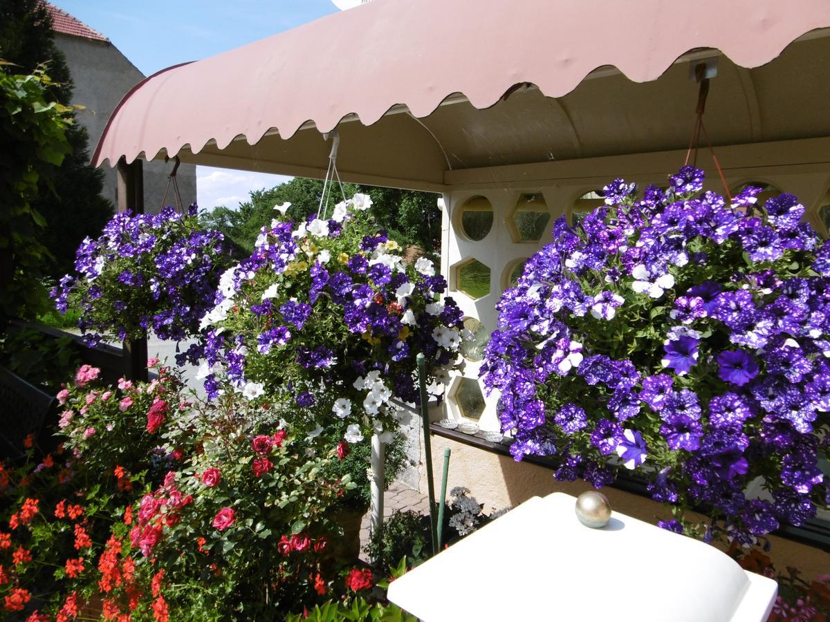 Hotel & Pension Assmann Hochkirch Exterior foto
